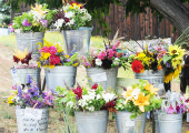 farm-stand-flower-bouquets