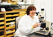 Photo: Professor Judith Habicht Mauche examining with a microscope