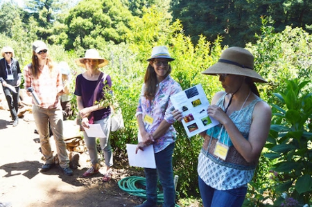 Stacy Philpott (middle), joined by graduate student and former CASFS apprentice Hamutahl Cohen (right), led a workshop about bee pollination - a vital part of many plant or cropâs fertilization process.