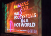 Humans and Wild Ecosystems in a Hot World